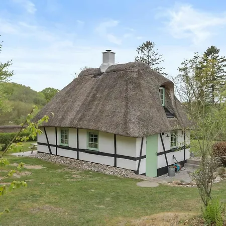 Sheena's In The Heart Of Hammer Bakker Vodskov