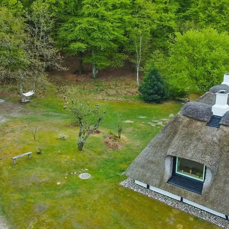 Sheena's In The Heart Of Hammer Bakker * Vodskov