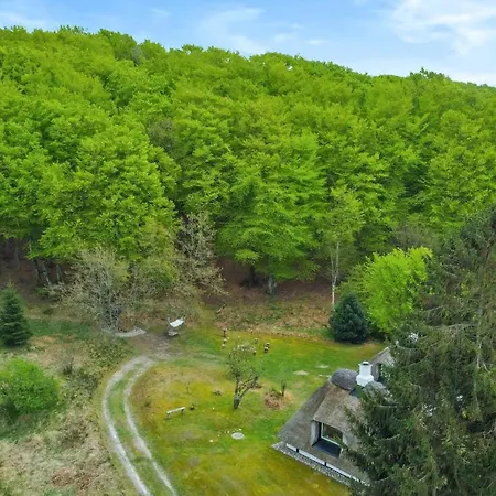 Tatil Evi Sheena's In The Heart Of Hammer Bakker Vodskov